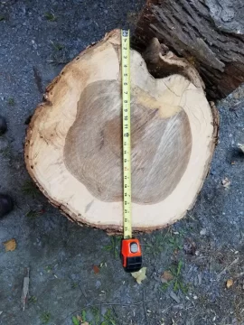 [Hearth.com] Tree Service Score