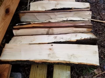 [Hearth.com] Tree Service Score