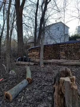 [Hearth.com] Taking down Red Maple