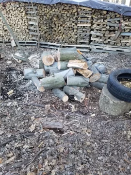 [Hearth.com] Taking down Red Maple