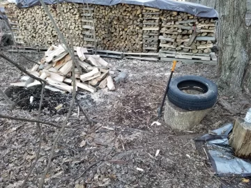 [Hearth.com] Taking down Red Maple