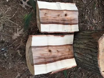 [Hearth.com] Just split help - pine? Maple? Hickory?