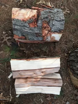 [Hearth.com] Just split help - pine? Maple? Hickory?