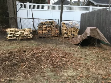 [Hearth.com] Bountiful Wind Storms