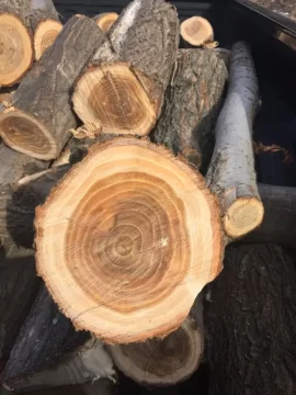 [Hearth.com] Wood i.d. Please