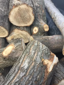 [Hearth.com] Wood i.d. Please