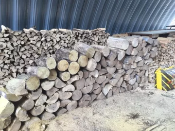 [Hearth.com] Need help tree identifying