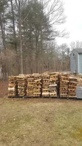 [Hearth.com] Scored 22 Plastic Pallets!