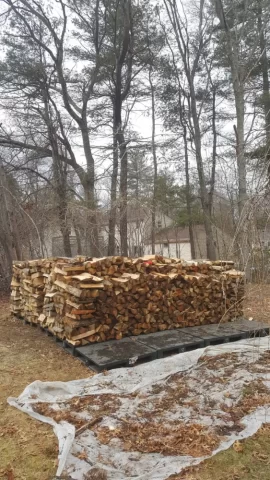 [Hearth.com] Scored 22 Plastic Pallets!
