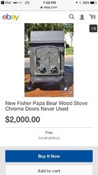 Fisher papa bear