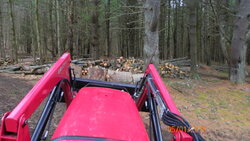 More Shoulder Season Wood