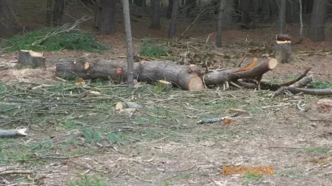 [Hearth.com] More Shoulder Season Wood