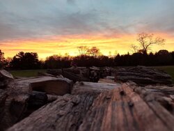 Sunset over the woodpile
