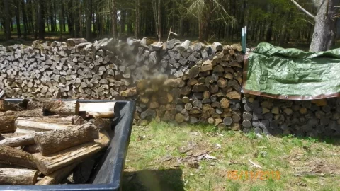 [Hearth.com] American Hophornbeam