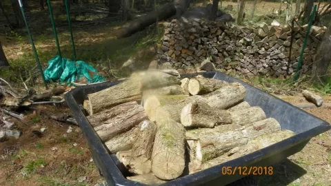 [Hearth.com] American Hophornbeam