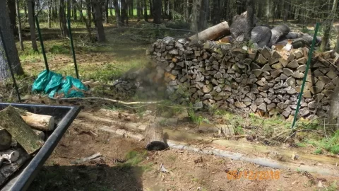 [Hearth.com] American Hophornbeam