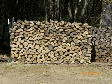 [Hearth.com] American Hophornbeam