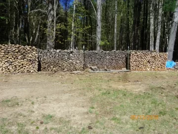 [Hearth.com] American Hophornbeam