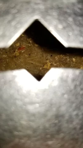 20180520_083838.jpg 20180520_083838.jpg