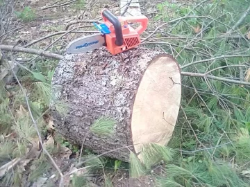 [Hearth.com] Finally got to process the downed pine tree