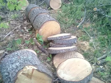 [Hearth.com] Finally got to process the downed pine tree