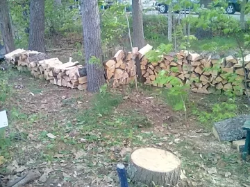 [Hearth.com] Finally got to process the downed pine tree