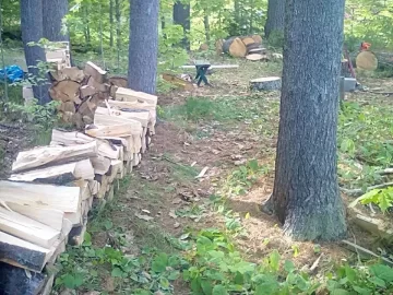 [Hearth.com] Finally got to process the downed pine tree