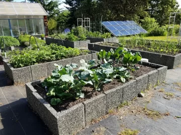 [Hearth.com] 2018 garden thread!