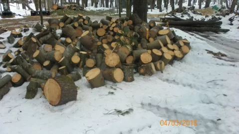 [Hearth.com] More Shoulder Season Wood