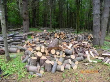 [Hearth.com] More Shoulder Season Wood