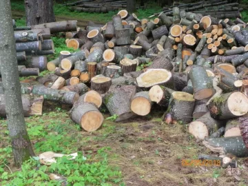 [Hearth.com] More Shoulder Season Wood
