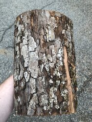 Oak? Need Help Identifying Wood Type