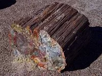 [Hearth.com] Burning balsam fir