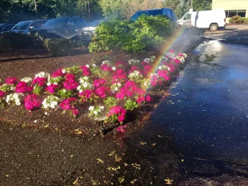 [Hearth.com] 2018 garden thread!