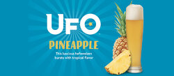 UFO-Pineapple.jpg