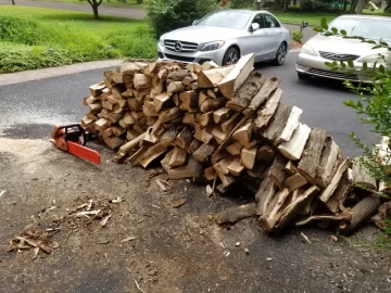 [Hearth.com] Tree ID please