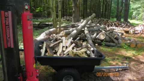 [Hearth.com] Kindling