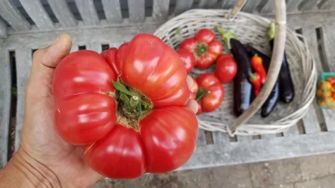 [Hearth.com] 2018 garden thread!