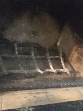 [Hearth.com] Any idea what this could be?