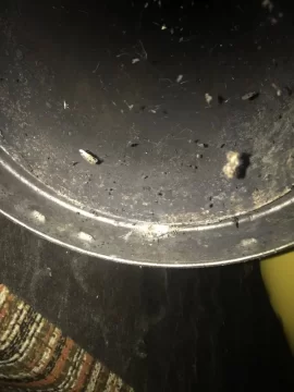 [Hearth.com] Chimney pipe identification needed