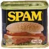 spam.jpg