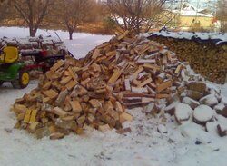 A lot of ash(Update: spent a couple hours splitting today)