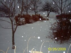 Missouri Blizzard - Merry Christmas!