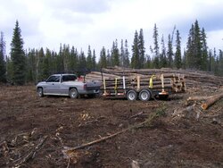 Wood Hauling Truck