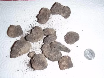 [Hearth.com] If you ever hear the word Inferno Pellets