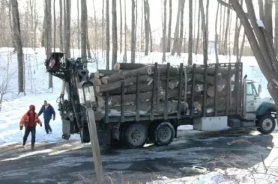 [Hearth.com] How much wood do you have left?