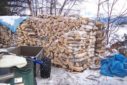 More birch split, stacked & drying