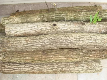 [Hearth.com] Wood ID