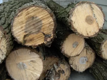 [Hearth.com] Wood ID