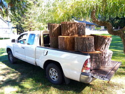 2001 Sequoia and trailering firewood